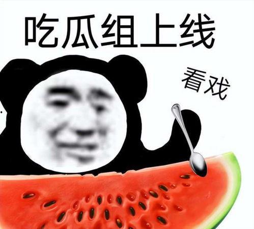 娱乐吃瓜酱倒装句,句式倒装，揭秘娱乐圈风云变幻