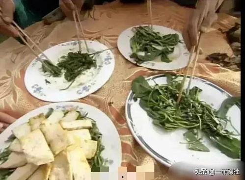 吃瓜娱乐圈菜,揭秘明星幕后故事