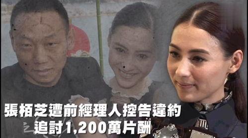 娱乐吃瓜热议,吃瓜群众狂欢，揭秘明星幕后故事