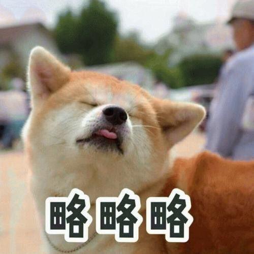 娱乐吃瓜酱狗走丢,狗狗走丢，网友助力寻回温馨故事