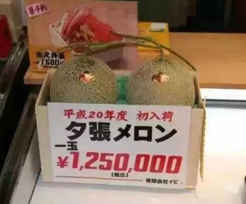 娱乐吃瓜骗局揭秘,揭秘网络虚假新闻背后的真相