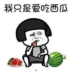 娱乐吃瓜小象是谁啊,网络红人的崛起之路