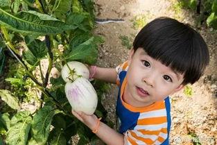 娱乐吃瓜酱小名,揭秘娱乐圈幕后那些事儿