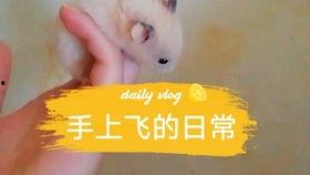 娱乐圈吃瓜背景板,揭秘幕后真相，吃瓜群众背后的故事