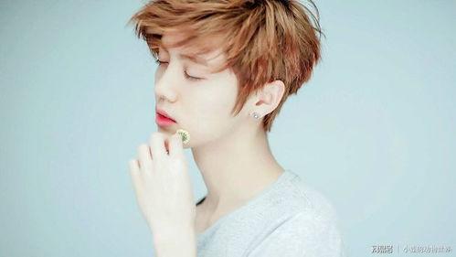 网易娱乐频道鹿晗吃瓜,娱乐圈风云再起，明星互动引热议