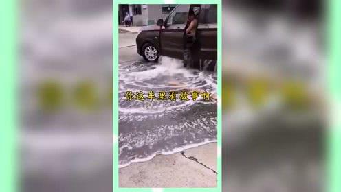 娱乐吃瓜群众歌曲,揭秘娱乐圈背后的“瓜”事