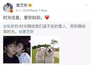 娱乐里的瓜还没吃就分,未尝先知，揭秘明星幕后故事