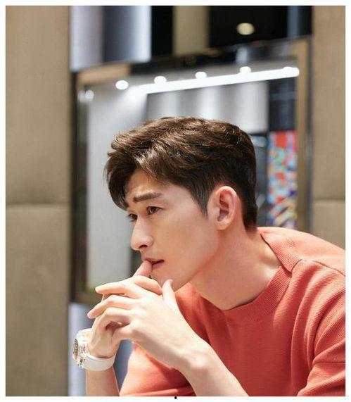 娱乐圈吃瓜张翰是谁啊,揭秘张翰的吃瓜之路