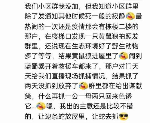 娱乐吃瓜群名叫什么名字,揭秘“娱乐吃瓜群”背后的热点风云