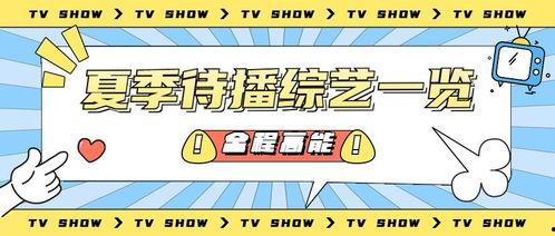娱乐吃瓜的营销号,明星幕后那些事儿，吃瓜群众必看！