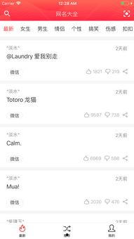 娱乐吃瓜的网名大全霸气,霸气吃瓜者的娱乐盛宴