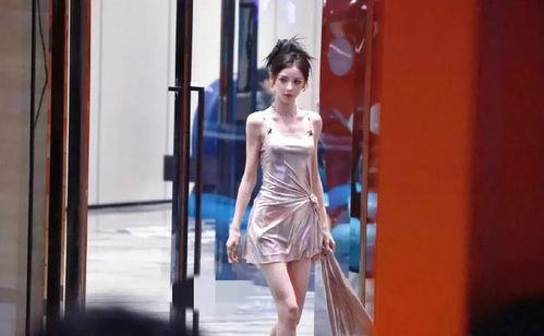 吃瓜娱乐八卦号是什么,吃瓜娱乐八卦号背后的秘密与魅力