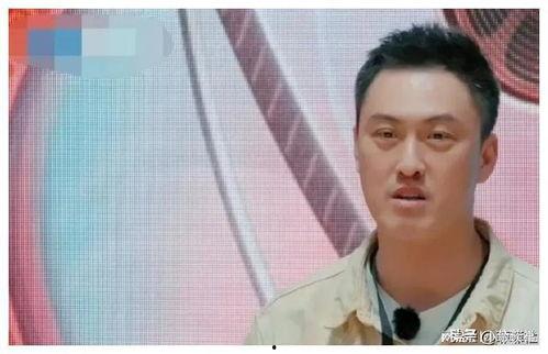 娱乐圈吃瓜爆料王是谁啊,揭秘神秘爆料者身份