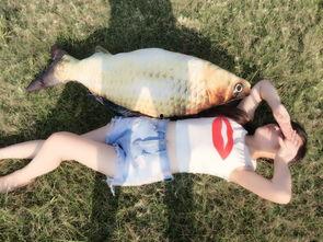 娱乐吃瓜钓鱼视频大全集,笑料百出，精彩纷呈！